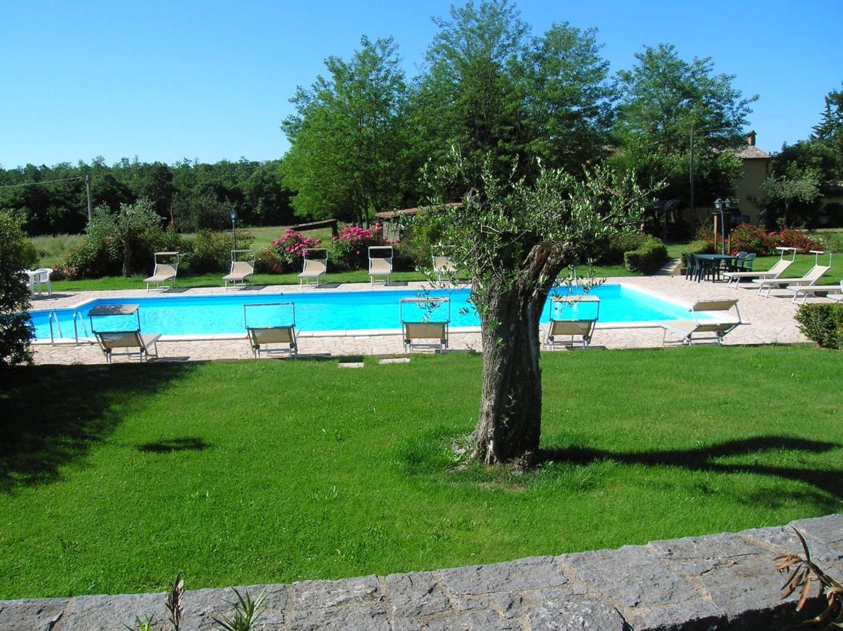 Agriturismo Buonasera Bagnoregio Eksteriør billede