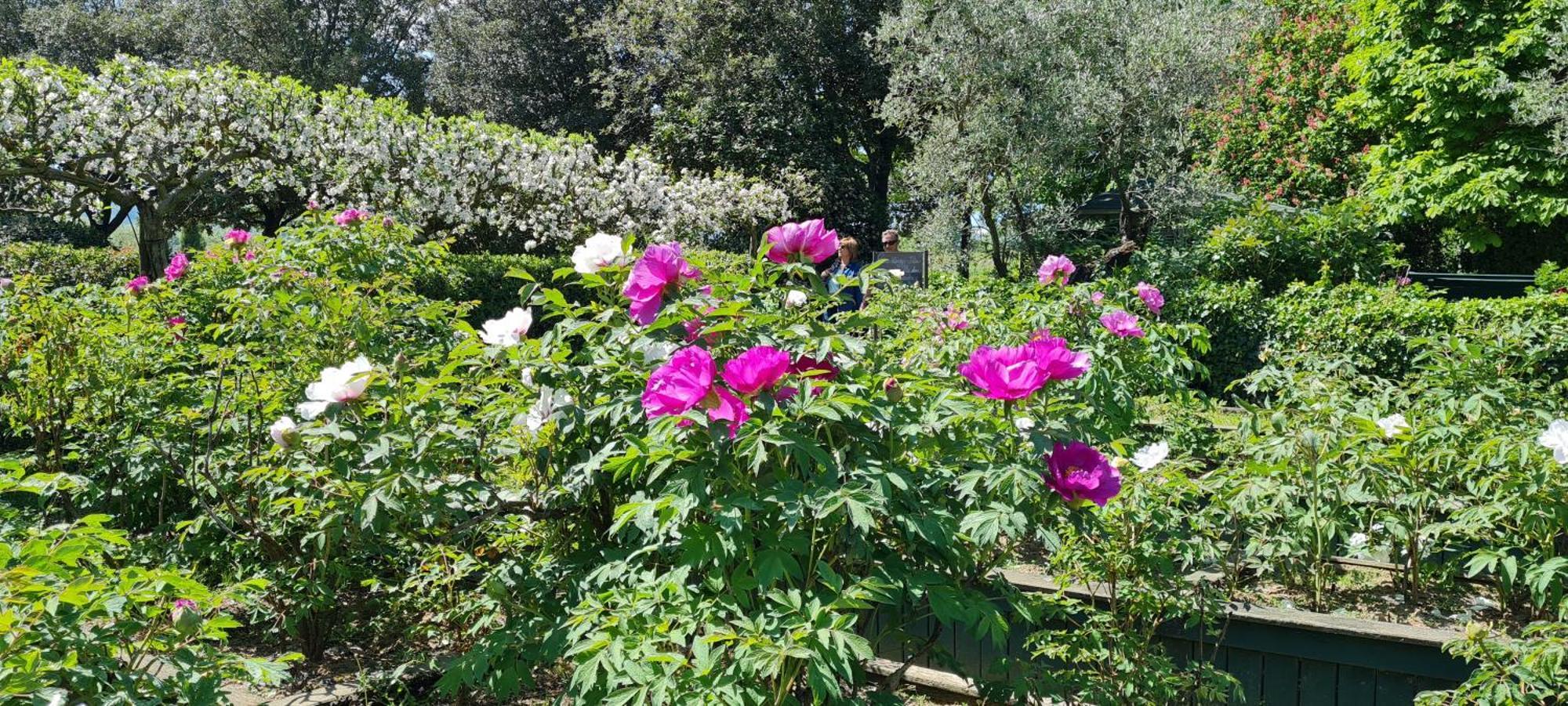 Agriturismo Buonasera Bagnoregio Eksteriør billede